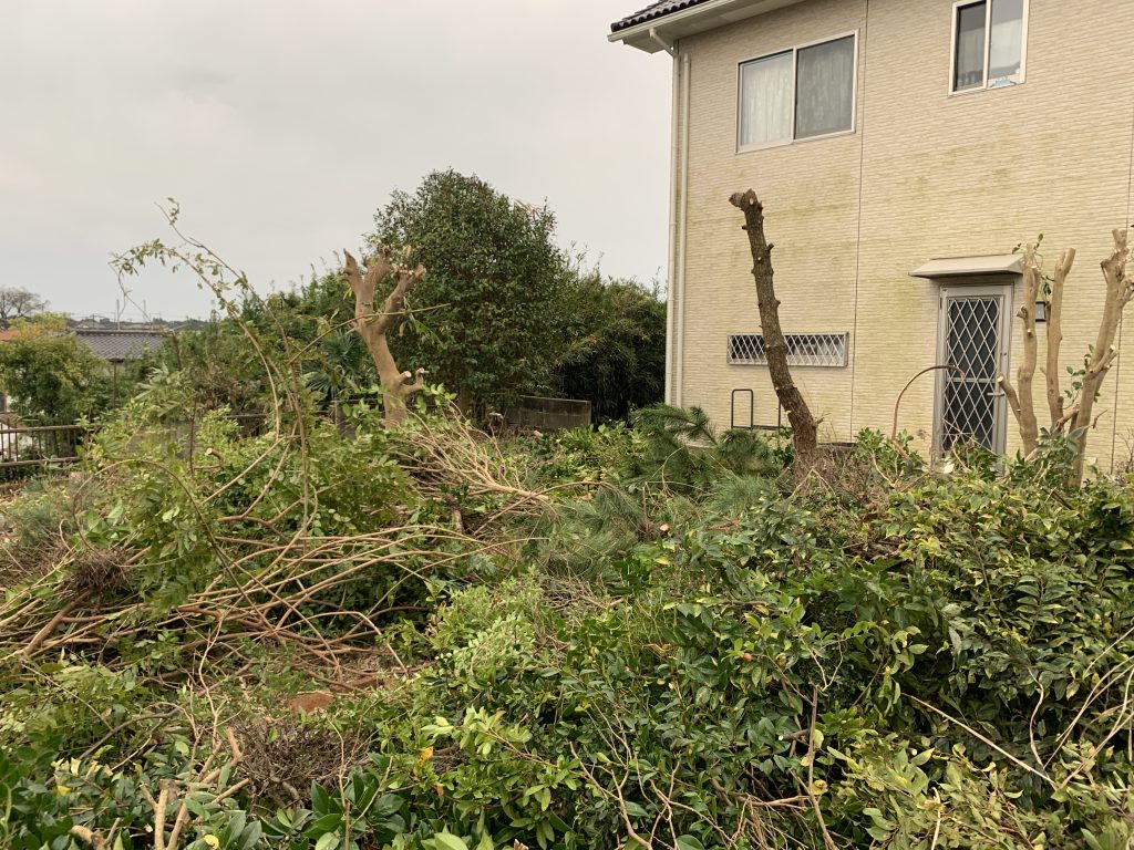 空き家の除草と伐採